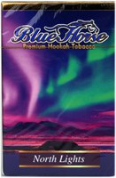 Blue Horse North Lights